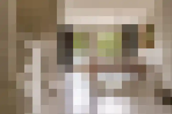 Bert Haanstrakade 244 Amsterdam thumbnail 24