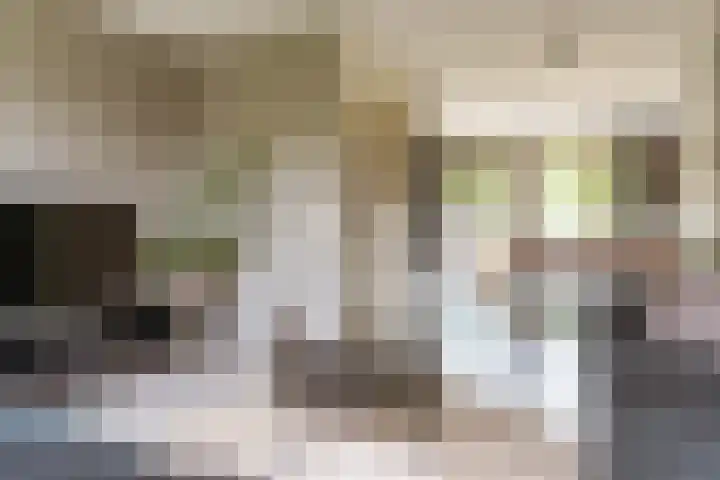 Bert Haanstrakade 244 Amsterdam thumbnail 26