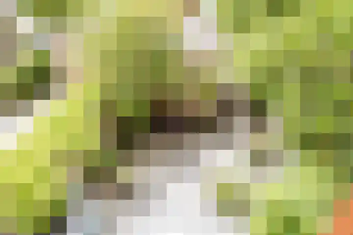 Bert Haanstrakade 244 Amsterdam thumbnail 28