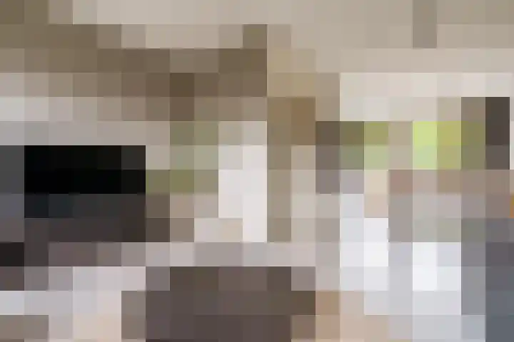 Bert Haanstrakade 244 Amsterdam thumbnail 30