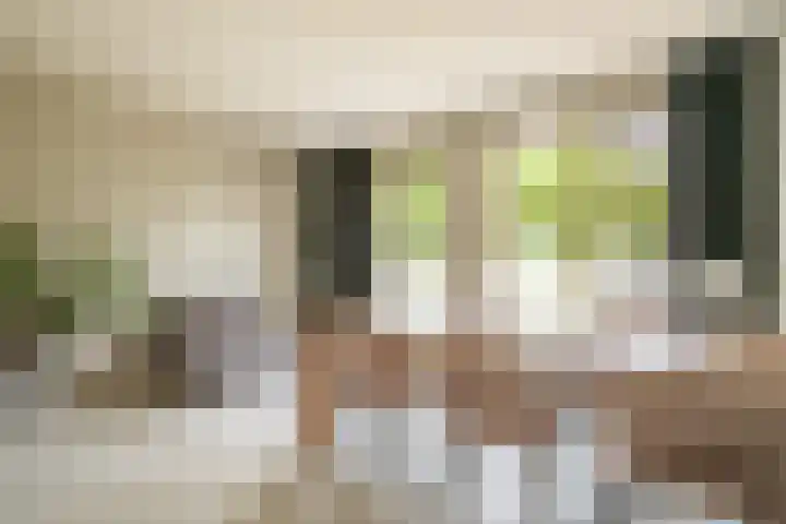 Bert Haanstrakade 244 Amsterdam thumbnail 33