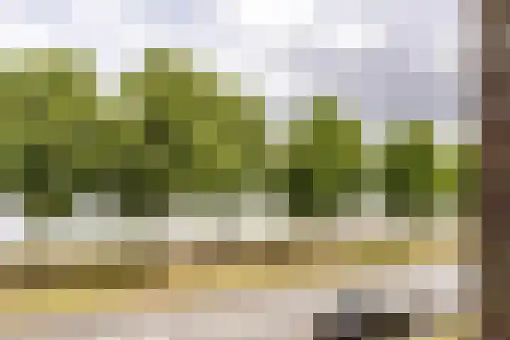 Bert Haanstrakade 244 Amsterdam thumbnail 36