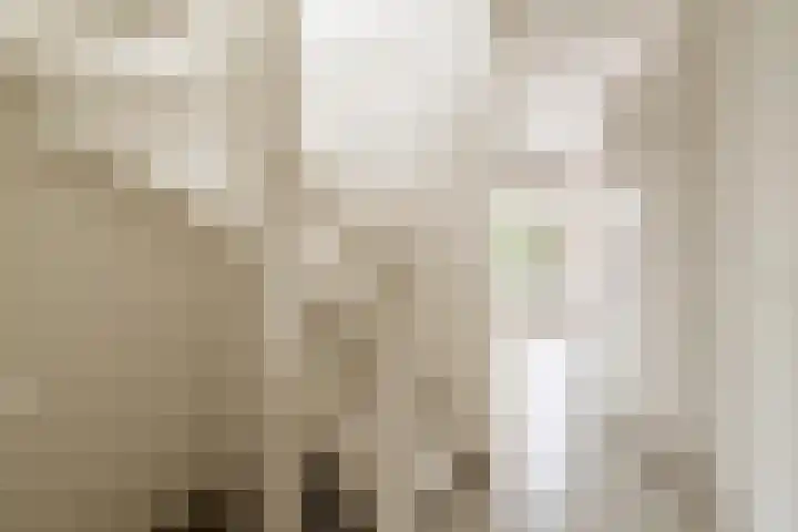 Bert Haanstrakade 244 Amsterdam thumbnail 47