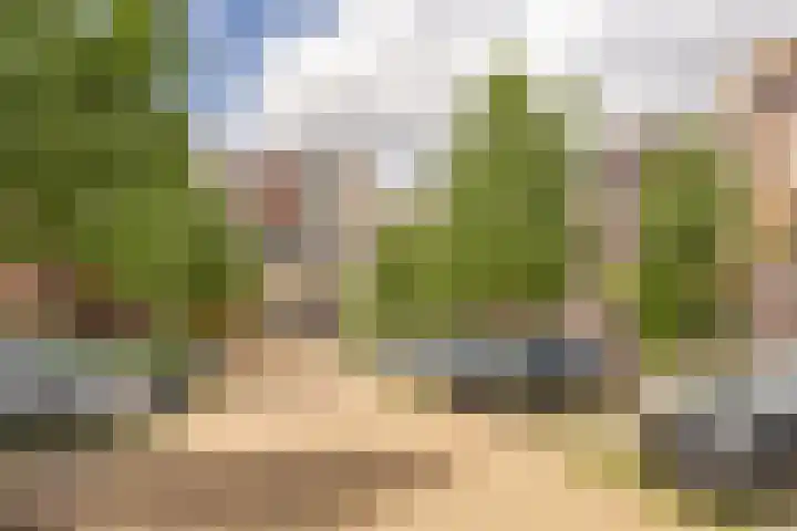 Bert Haanstrakade 244 Amsterdam thumbnail 57
