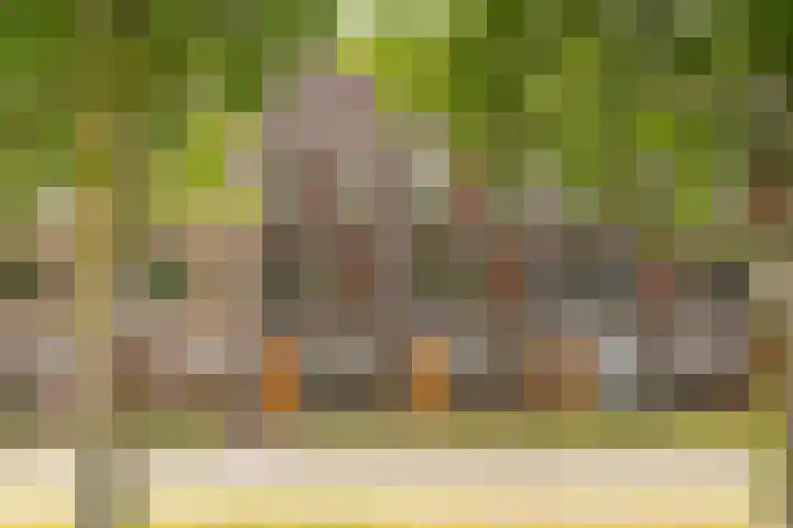 Bert Haanstrakade 244 Amsterdam thumbnail 58