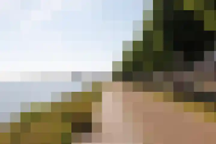 Bert Haanstrakade 244 Amsterdam thumbnail 60