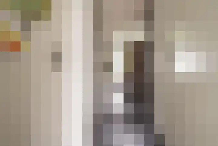 Bert Haanstrakade 244 Amsterdam thumbnail 9