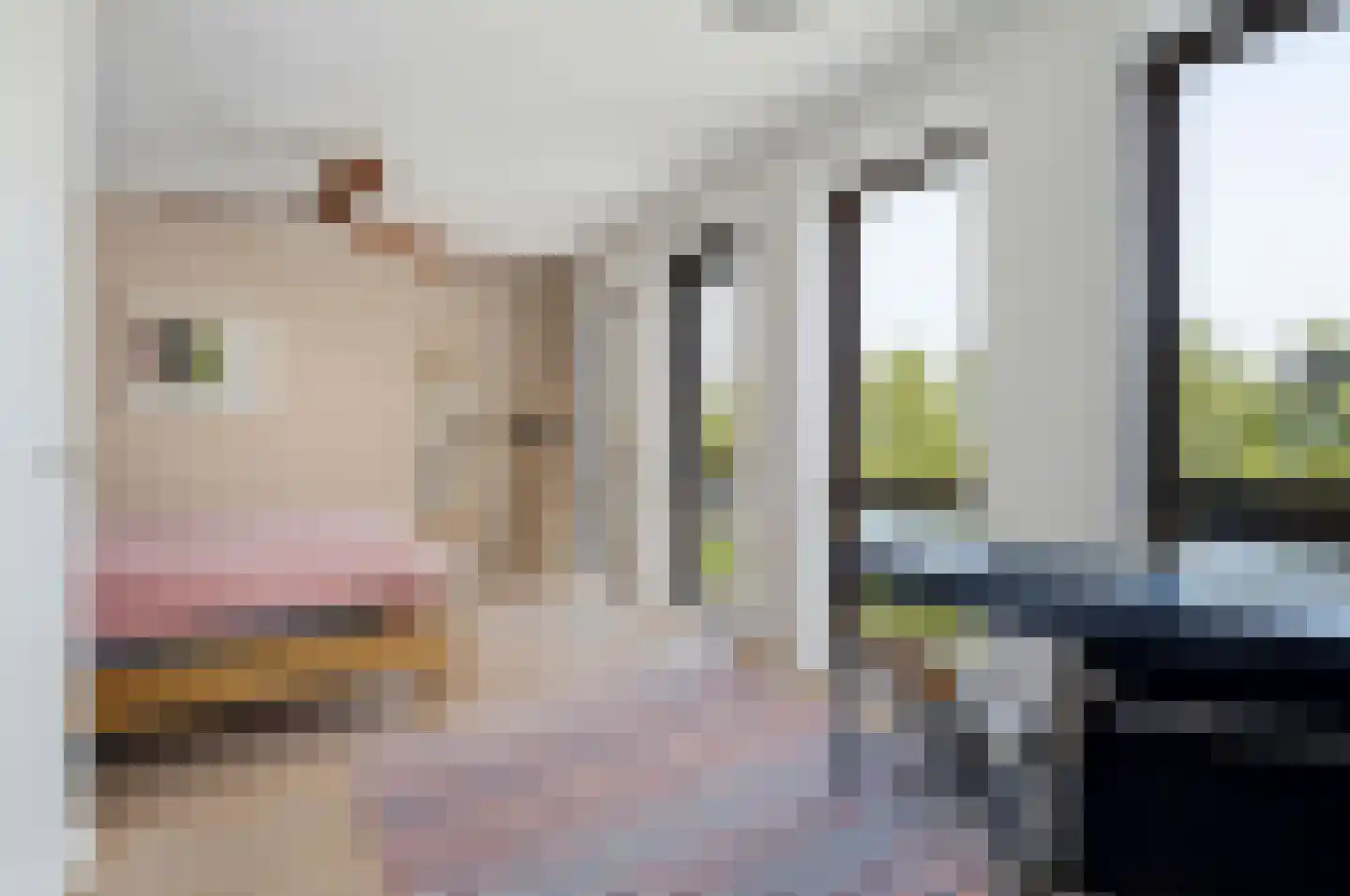 Bert Haanstrakade 256 Amsterdam thumbnail 13