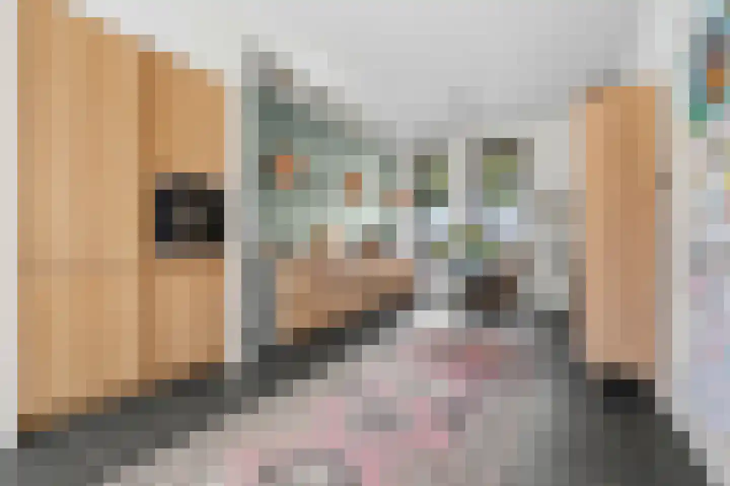Bert Haanstrakade 256 Amsterdam thumbnail 6