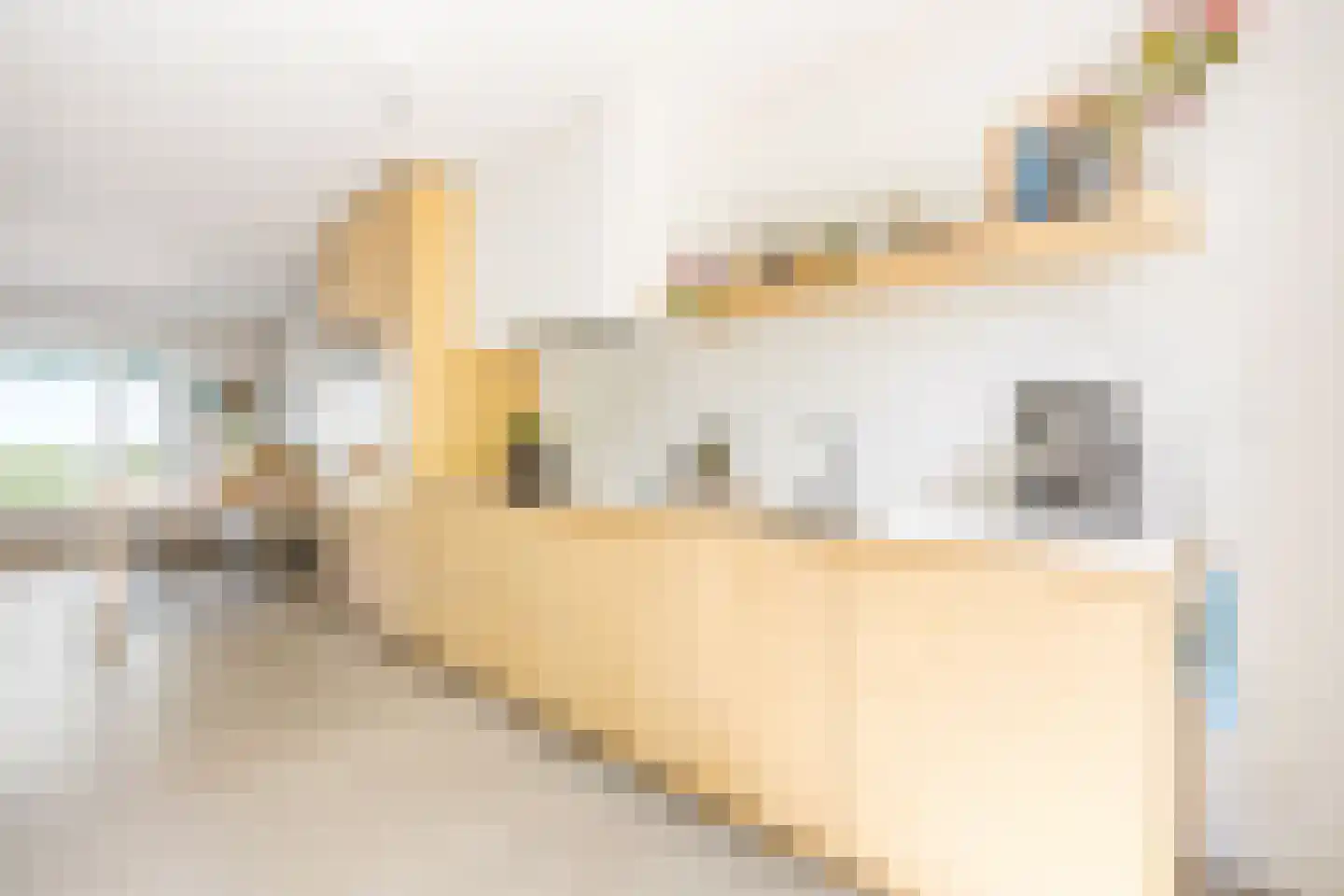 Bert Haanstrakade 264 Amsterdam thumbnail 17