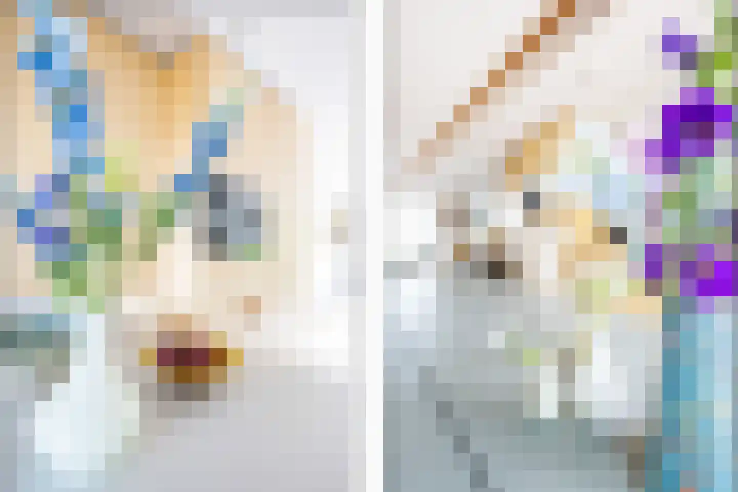 Bert Haanstrakade 264 Amsterdam thumbnail 20