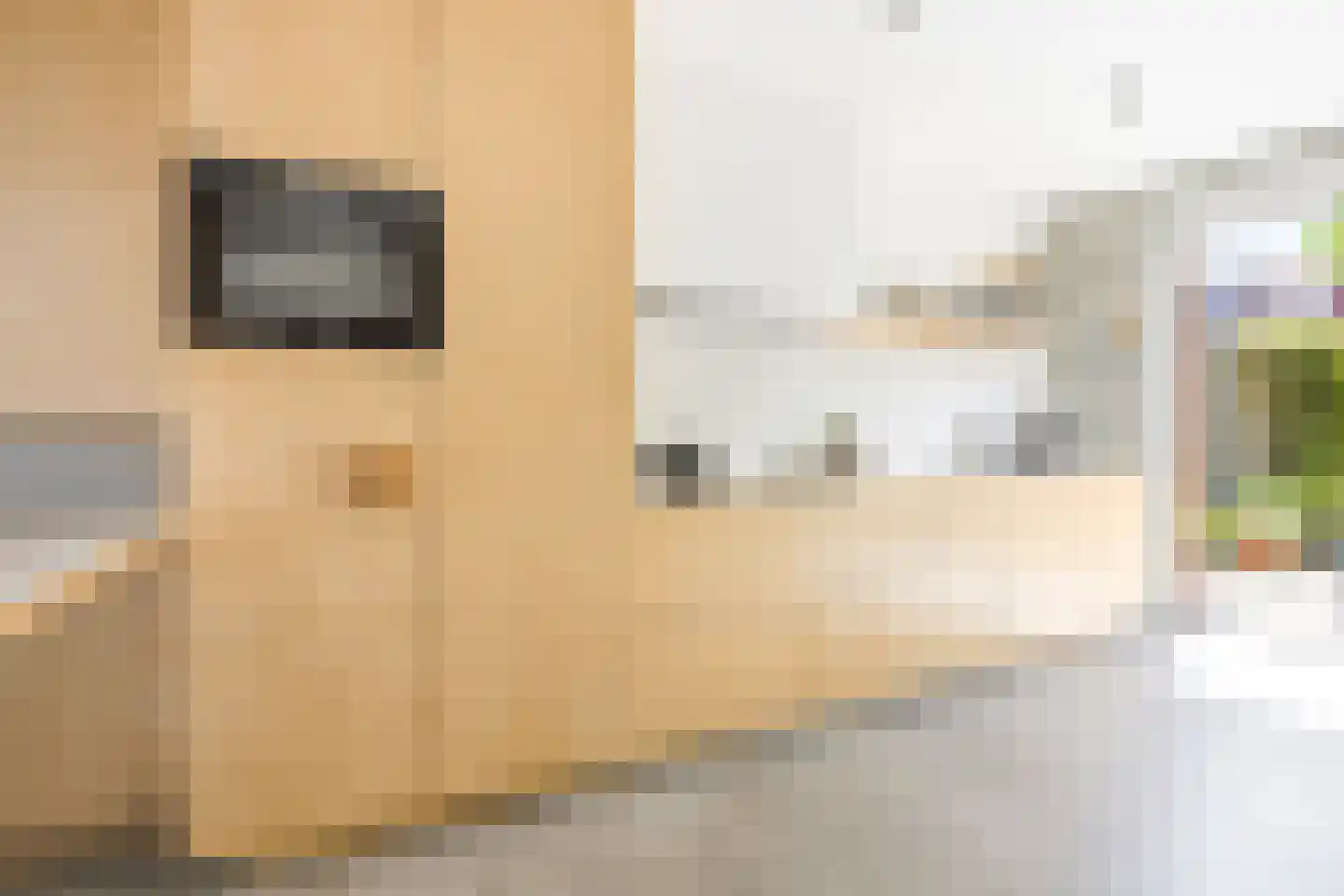 Bert Haanstrakade 264 Amsterdam thumbnail 21