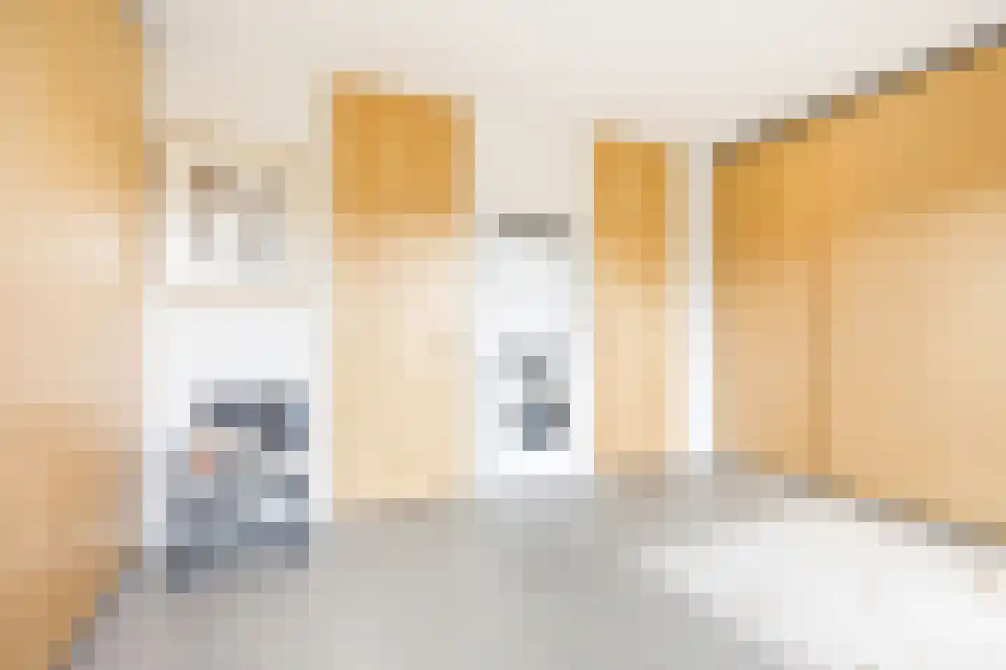 Bert Haanstrakade 264 Amsterdam thumbnail 37