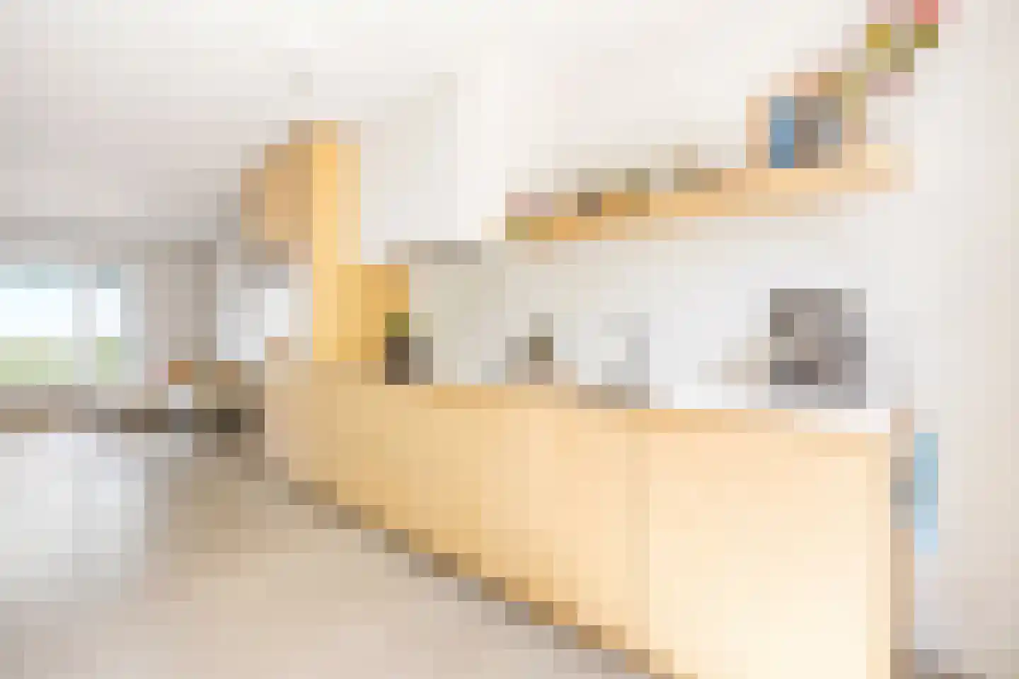 Bert Haanstrakade 264 Amsterdam thumbnail 58