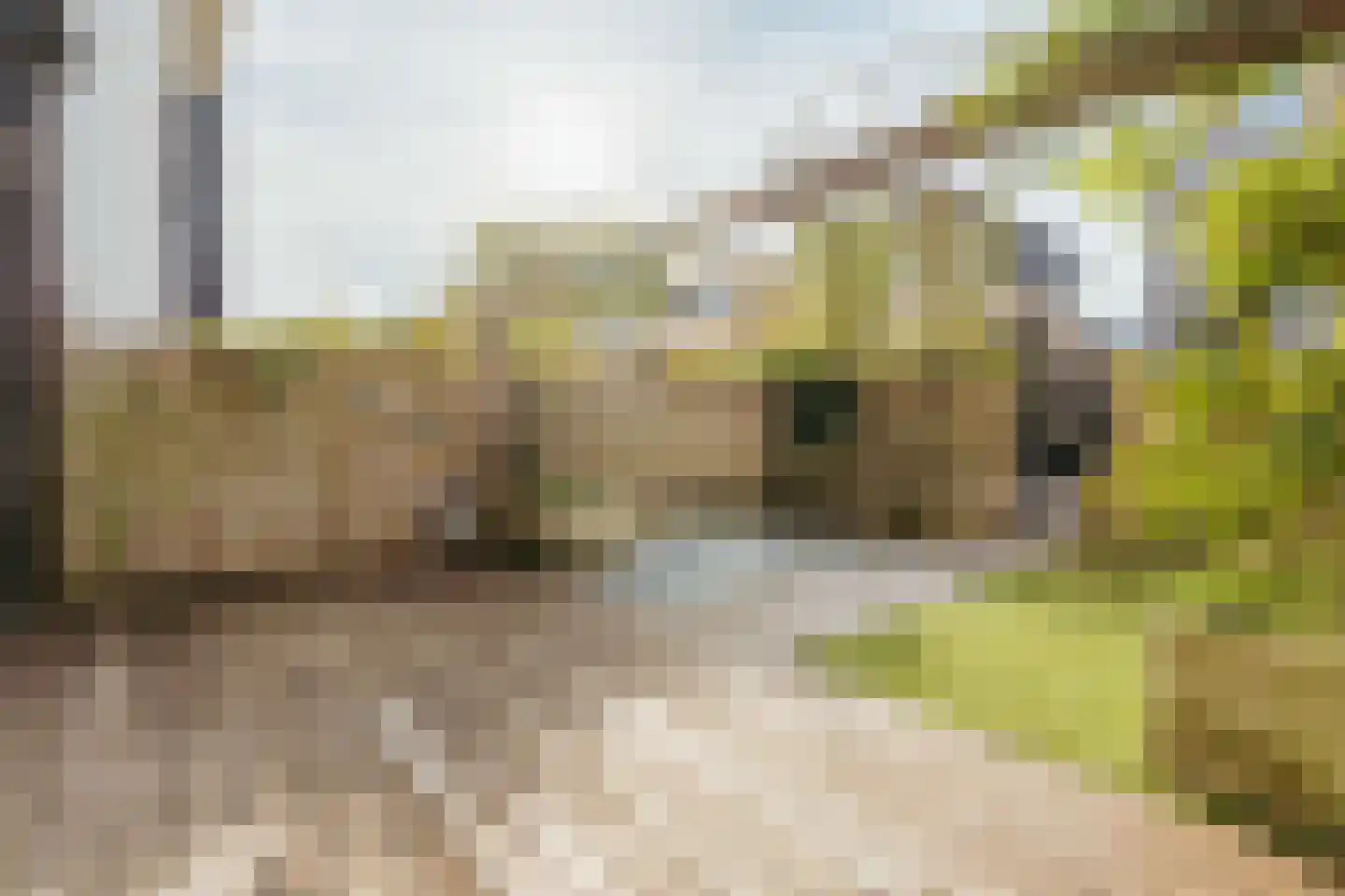 Bert Haanstrakade 398 Amsterdam thumbnail 13