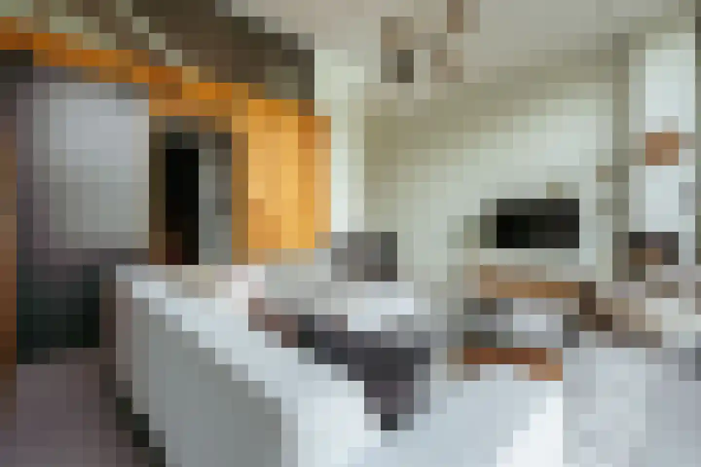 Bert Haanstrakade 398 Amsterdam thumbnail 26