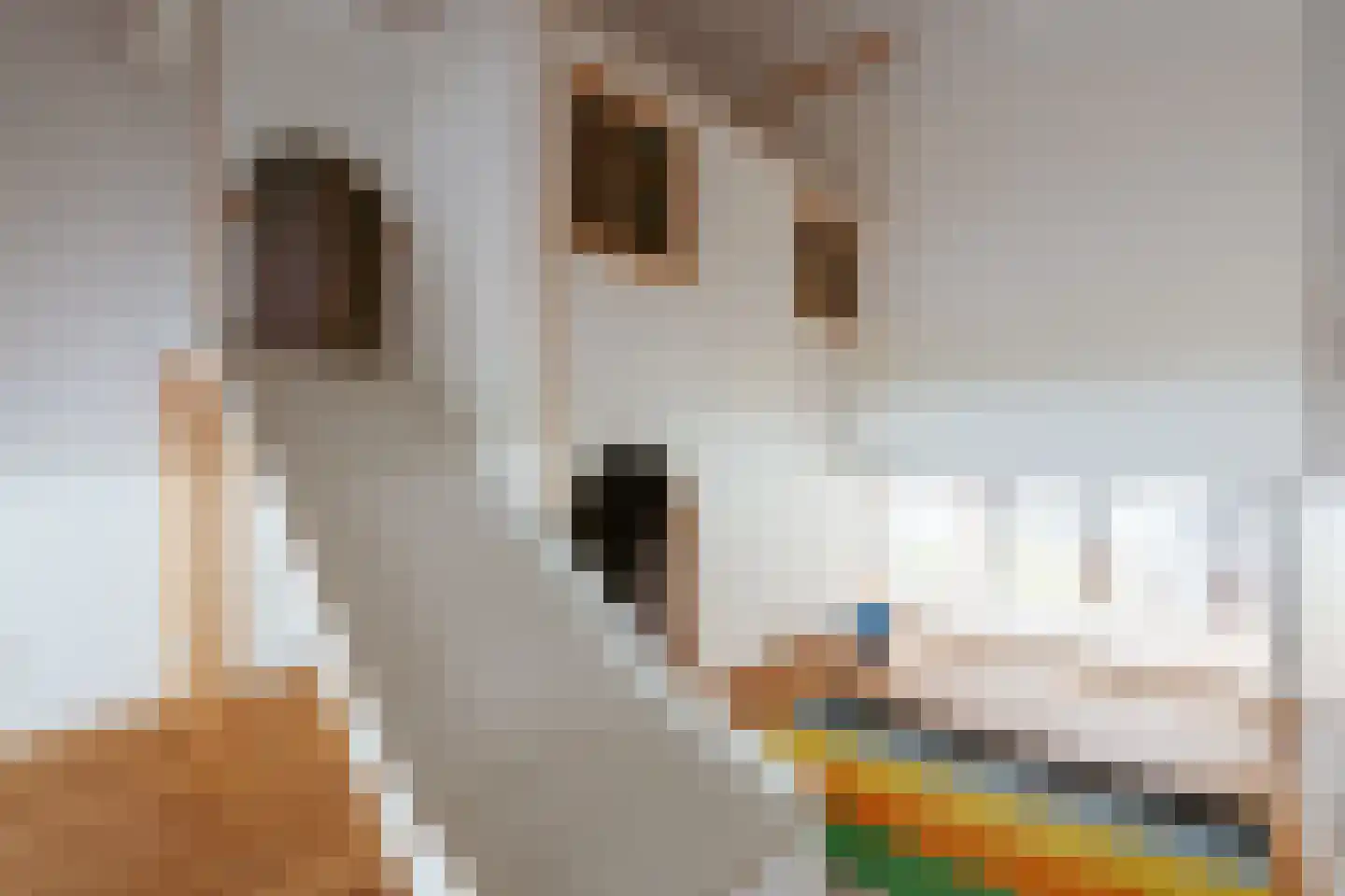 Bert Haanstrakade 398 Amsterdam thumbnail 34