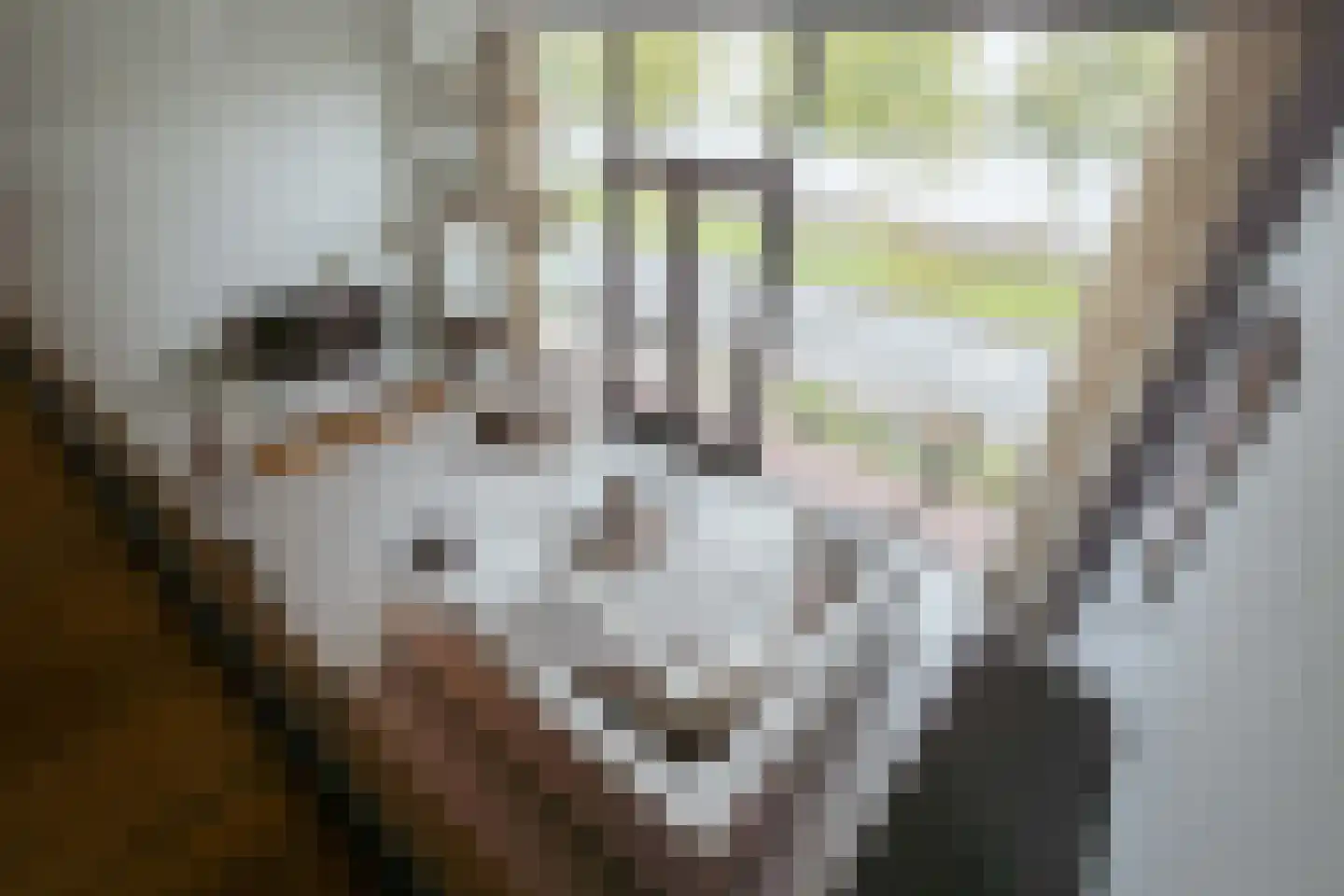 Bert Haanstrakade 398 Amsterdam thumbnail 36