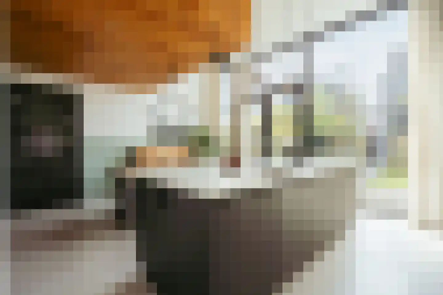 Bert Haanstrakade 398 Amsterdam thumbnail 9
