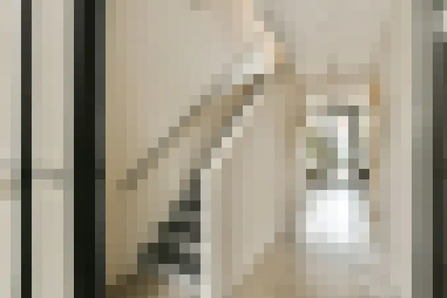 Bert Haanstrakade 410 Amsterdam thumbnail 12