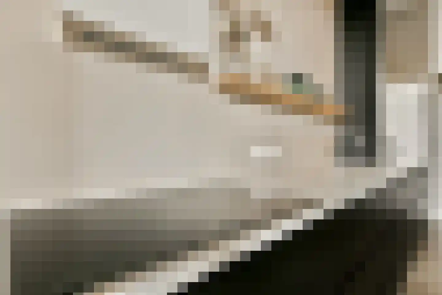 Bert Haanstrakade 410 Amsterdam thumbnail 7