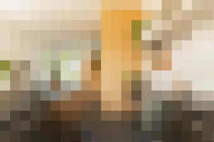 Bert Haanstrakade 436 Amsterdam thumbnail 11