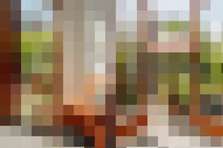 Bert Haanstrakade 436 Amsterdam thumbnail 15