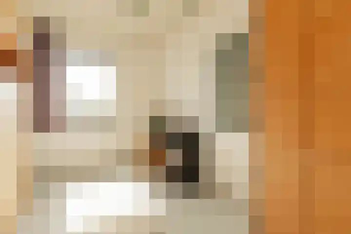 Bert Haanstrakade 436 Amsterdam thumbnail 28