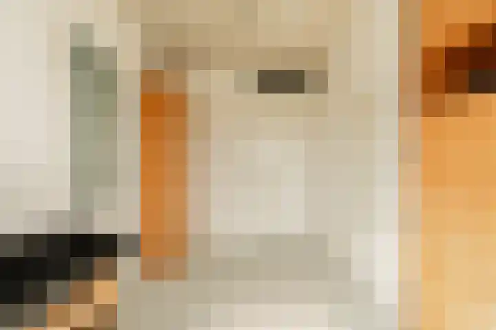 Bert Haanstrakade 436 Amsterdam thumbnail 29