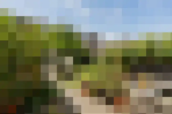 Bert Haanstrakade 436 Amsterdam thumbnail 39