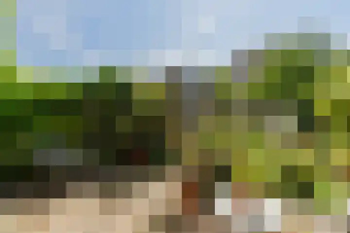 Bert Haanstrakade 436 Amsterdam thumbnail 40