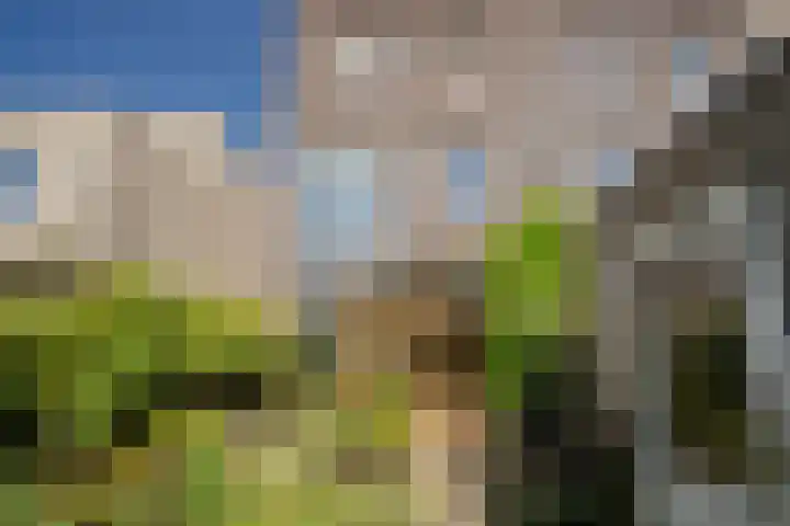 Bert Haanstrakade 436 Amsterdam thumbnail 41