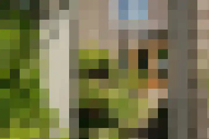 Bert Haanstrakade 436 Amsterdam thumbnail 42
