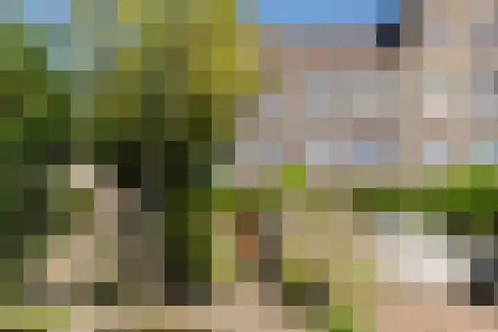Bert Haanstrakade 436 Amsterdam thumbnail 44