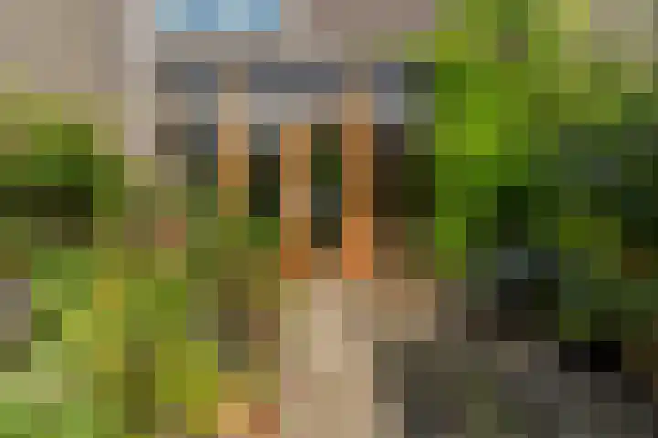 Bert Haanstrakade 436 Amsterdam thumbnail 45