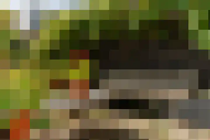 Bert Haanstrakade 436 Amsterdam thumbnail 46