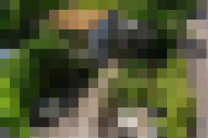 Bert Haanstrakade 436 Amsterdam thumbnail 47