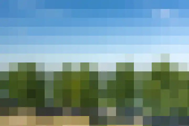 Bert Haanstrakade 436 Amsterdam thumbnail 48