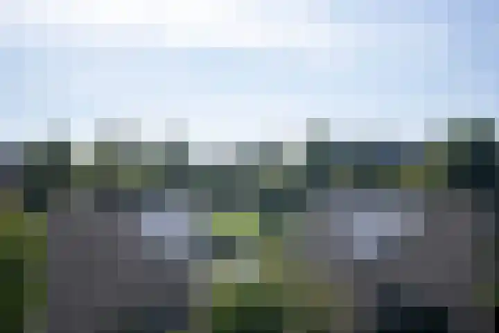 Bert Haanstrakade 436 Amsterdam thumbnail 55