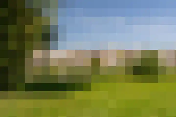Bert Haanstrakade 436 Amsterdam thumbnail 58