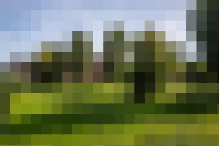 Bert Haanstrakade 436 Amsterdam thumbnail 60