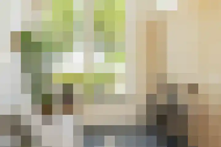 Bert Haanstrakade 436 Amsterdam thumbnail 9
