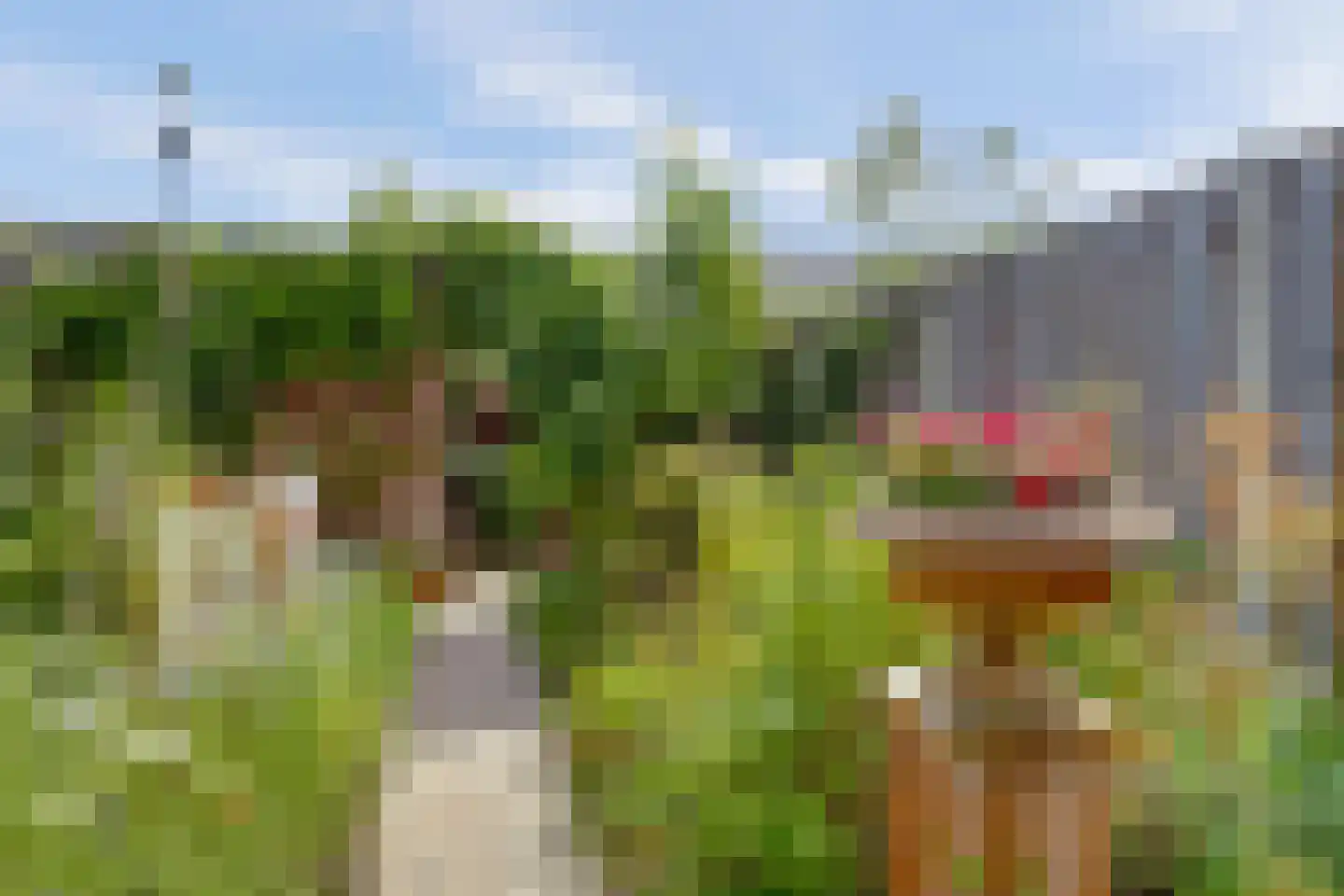 Bert Haanstrapark 32 Nijmegen thumbnail 15