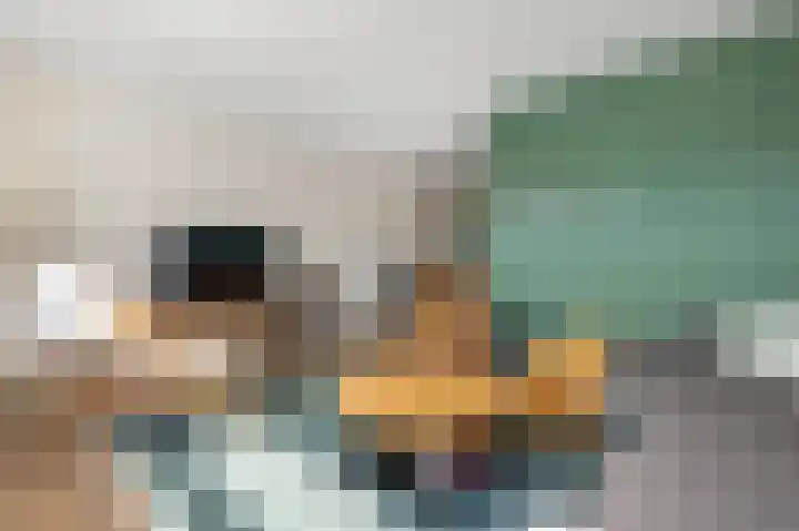 Bert Haanstrastrook 117 Zoetermeer thumbnail 13