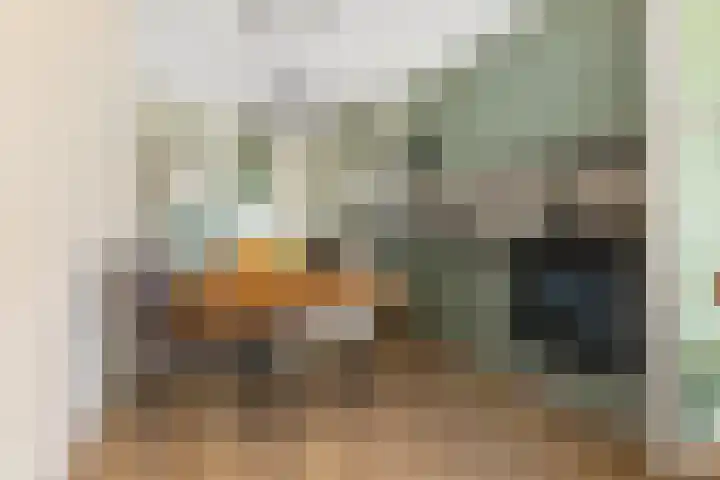 Bert Haanstrastrook 117 Zoetermeer thumbnail 14