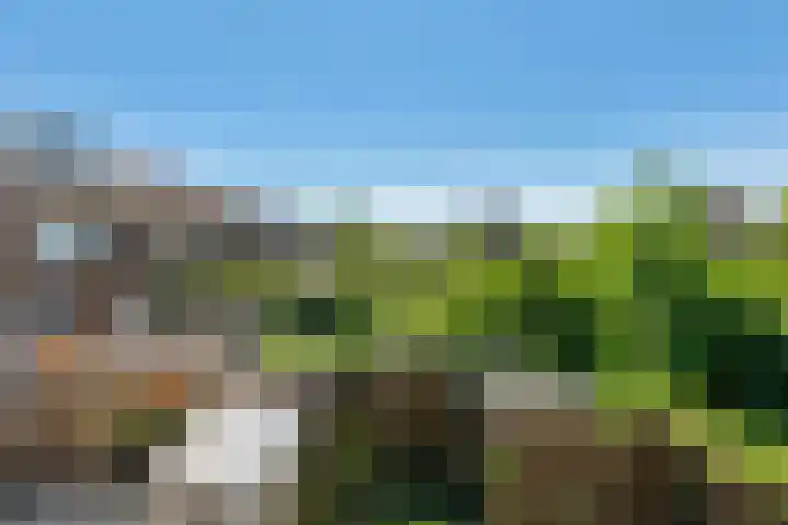 Bert Haanstrastrook 117 Zoetermeer thumbnail 15