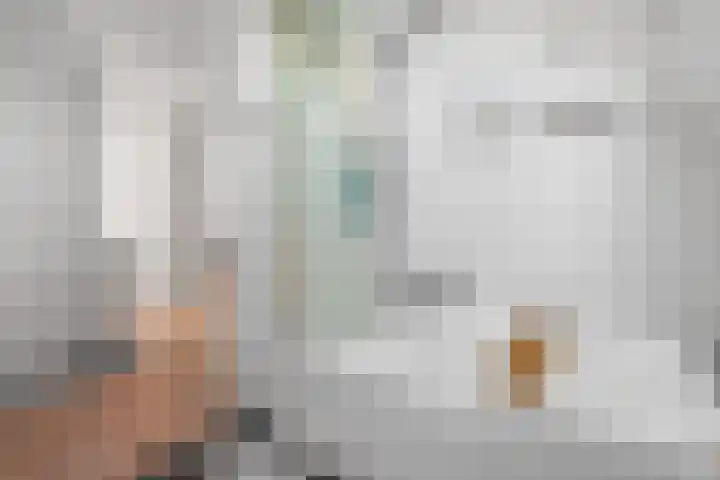 Bert Haanstrastrook 117 Zoetermeer thumbnail 33