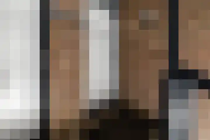Bert Haanstrastrook 117 Zoetermeer thumbnail 34