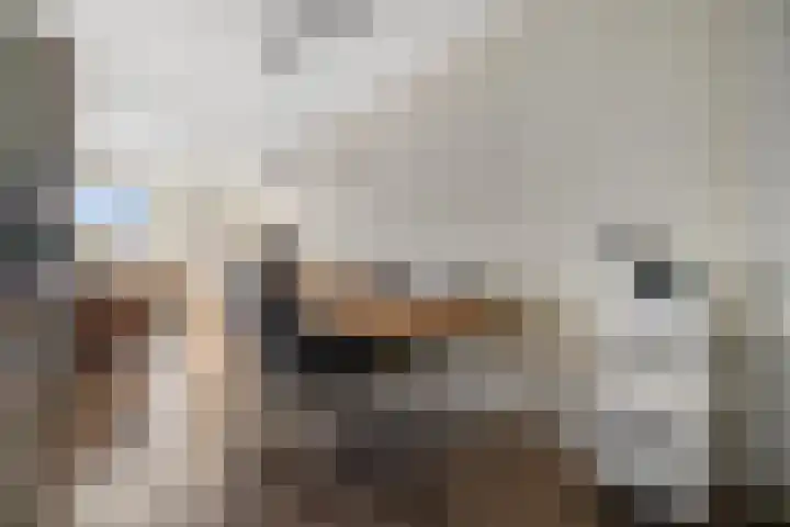 Bert Haanstrastrook 117 Zoetermeer thumbnail 6