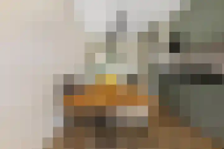 Bert Haanstrastrook 117 Zoetermeer thumbnail 7